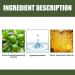 Blusoms Hair Growth Serum Spray with Ashwagandha 4500 - 100ML | FolliGrow Magnesium Formula for Dry, Frizzy Hair - Buy Online on GoSupps.com