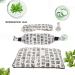 Herbal Massage Compress Ball | Reusable Spa Herbal Bag for Warming Relief & Fatigue Care - Buy Online on GoSupps.com