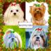 2PCS Washable Dog Christmas Bandana Set for Small Medium Pets - Festive Triangle Scarf for Dogs & Cats - Holiday Accessories & Party Decoration - Buy Online on GoSupps.com