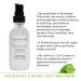 Sashapure Smoothing & Shine Hair Treatment with Sacha Inchi Oil - Frizz Control & Heat Protection - 1.7 fl. oz (Pack of 6) - Buy Online on GoSupps.com