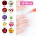 Anself 1 Nail Care Pen Oil - 10-Piece Set | Premium Nail Treatment for Healthy Nails - International Shipping Available - Buy Online on GoSupps.com