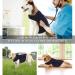 Kelivol Fear Coat for Dogs - Calming Vest for Fireworks & Thunderstorms (Large Marine Blue) | Comfort & Relief for Anxious Pets - Buy Online on GoSupps.com