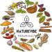 Naturevibe Botanicals Organic Green Cardamom Ground 3.5oz - Non-GMO, Gluten Free Indian Spice for Digestion - Buy Online on GoSupps.com
