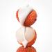 Dove Body Scrub Coconut & Lychee For Women For Exfoliated & Hydrated skin 15 oz - Buy Online on GoSupps.com