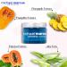 Michael Marcus Exfoliating Enzyme Peel - Papaya Pineapple & Pumpkin - Hydrating & Soothing - Targets Fine Lines & Wrinkles - Plant Based Skincare (1.7oz - Buy Online on GoSupps.com