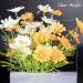 2Pcs 8x12 Clear Acrylic Plexiglass Sheets 0.06 Thick - Ideal for Picture Frames, Glass Replacement, Painting, DIY Crafts - Transparent Acrylic Sheets for Signs and Displays - Buy Online on GoSupps.com