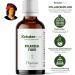 NEW! Kr utermax Thyme Drops | Thyme Distillate as a Perfect Supplement to Thyme Capsules or Thyme Oil | Vegan & Pure | 1 x 50ml - Buy Online on GoSupps.com