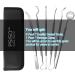 6 Pack Dental Tools Set - Professional Stainless Steel Oral Care Kit with Case | Tooth Scraper, Plaque & Tartar Remover - Buy Online on GoSupps.com