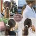 Brinie Pearl Champagne Hair Ties - Pack of 3 Elastic Scrunchies for Women and Girls - Buy Online on GoSupps.com