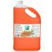 Bella Terra Oils Pure Sea Buckthorn Oil 1 gallon Unique Nutrient Blend Nourishing Non-Greasy Radiant Glow for Skin Softness for Hair 12.8 Fl Oz (Pack of 10)
