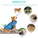 Dog Life Jacket - Adjustable Pet Floatation Vest for Safety in Water - Blue - Small - Buy Online on GoSupps.com