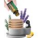 Bone Collection Car Diffuser - Maru Penguin Multicolor | International Shipping Available - Buy Online on GoSupps.com
