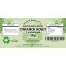 Natural Health 4 Life Caramelised Cinnamon Honey Cashews 300g - Buy Online on GoSupps.com