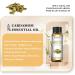 EUQEE Cardamom Essential Oil 10ml Pure Natural Cardamom Oils Aromatherapy Essential Oils for Diffusers for Home Relax Humidifiers Cardamom 10.00 ml (Pack of 1) - Buy Online on GoSupps.com