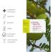 Padma Hepatib 60 Capsules - Vegan Metabolism & Liver Support | 3-Fruit Formula with Choline Polyphenols & Tannins for Internal Cleansing - Buy Online on GoSupps.com