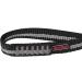Buy ALPIDEX Polyamide Slings 30cm 60cm 80cm 120cm - Durable High-Strength International Shipping - Buy Online on GoSupps.com