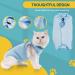 Avont Katzenbody Recovery Suit for Cats | Post-Op Healing Leak Protection Abdominal Wounds Skin Issues - Blue S - Buy Online on GoSupps.com