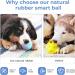 Cheerble Wicked Ball SE: Interactive LED Dog Toy Ball - Natural Rubber - DC Rechargeable Blue - Buy Online on GoSupps.com