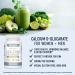Calcium D-Glucarate 500mg 90 Capsules - Liver Detox & Cleanse, Metabolism, Hormone Balance, Menopause Support | Vegan Certified, Non-GMO, Gluten-Free by SM Nutrition - Buy Online on GoSupps.com