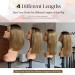 BEEOS 13x4 Skinlike Real HD Lace Front Wig - Ash Blonde Bob Human Hair Wig 12 Inch - Pre Plucked - Bleached Knots - Ombre Short Invisivle Lace Wig - 150% Density - Middle Part - HD Lace Front - Buy Online on GoSupps.com