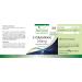 Fairvital | L-Glutathione 250mg - box of 4 months - VEGAN - 120 Capsules - Buy Online on GoSupps.com