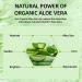 Aloe Vera Cream 98% Aloe Vera Face Cream Face & Body Moisturizing Cream with Organic Aloe Vera Gel Aloe Vera Face Moisturizer Nourishing Smoothing Moisturizing Lotion for Face & Body - Buy Online on GoSupps.com