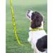 John Deere Licensed Pet Leash for Dogs & Cats - Large Size | Construction Tractors Super Fan | Pets First - Buy Online on GoSupps.com