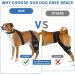 Adjustable Dog Knee Brace | Medium Black Pet Knee Pads for Joint Injury Recovery | Support Straps for Dogs - Buy Online on GoSupps.com