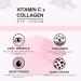 Provence Beauty Vitamin C + Collagen Eye Cream - 1 fl oz | Brightening & Firming - Buy Online on GoSupps.com