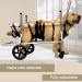 Dog Wheelchair 4 Wheel Pet Wheelchair Small Dog Carts with Wheels for Back Legs Disability Paralysis Injury Hindlimb Weakness Pet Easy Assemble (Size : M) Medium - Buy Online on GoSupps.com