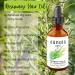 NEW- Rosemary Oil For Hair Growth by Eunoia Pure - Made in Canada - with Rosemary Peppermint Black Seed Oil and Pumpkin Seed Oil - for Longer Thicker Stronger Hair - For Men and Women - All Hair Types - 2 oz/60ml - Buy Online on GoSupps.com