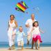 VIKY Dragons Kite for Kids - Colorful Pocket Kite 30m Dragon Cord Beginner Friendly Outdoor Flight Toy - 82cm x 52cm Rainbow Kites for Children and Adults - Buy Online on GoSupps.com