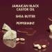 SheaMoisture Jamaican Black Castor Oil Leave In Conditioner - 11.5oz | Soften & Detangle Damaged Hair - Buy Online on GoSupps.com