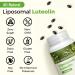 Valenameienes 500mg Liposomal Luteolin Supplement | Powerful Antioxidant | 60 Softgels - Buy Online on GoSupps.com
