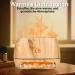 Buy Aroma Diffuser with Essential Oils - 200ml Humidifier & LED Light | Automatic Shutdown & Himalayan Salt | Enhance Air Quality - Buy Online on GoSupps.com
