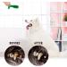 Bestbuy Dog Toothbrush Stick-Puppy Dental Care Brushing Stick Effective Doggy Teeth Cleaning Massager Rubber Bite Resistant Chew Toys for Dogs - Buy Online on GoSupps.com