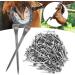 Nikou Horseshoe Nail - 250pcs E6 High Strength Steel Hoof Pin | Durable & Safe Tool Accessory for Horses - No Bending | International Shipping Available - Buy Online on GoSupps.com