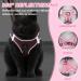 Adjustable Cat Dishes Set with Leash - Soft Lined & Breathable Mesh for Cats Kittens Dogs & Puppies (Pink Large) - Buy Online on GoSupps.com