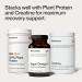Momentous Vegan Omega-3 - Plant-Based EPA & DHA Supplement for Men & Women - Sourced from Algae Oil - Supports Heart, Joint, & Brain Health - NSF Certified for Sport - 1,000 mg - 30 Servings - Buy Online on GoSupps.com