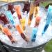 Pedialyte Electrolyte Solution Pops Variety Pack - 2.1 Fl Oz (Pack of 16) - Buy Online on GoSupps.com