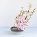 Wazakura Minoyaki Series Japanese Ikebana Essential Tool Kit - White & Blue Kenzan + Brass Kenzan - Floral Arranging Set - Buy Online on GoSupps.com