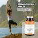 Ashwagandha KSM-66 Extra Strong Anti-Stress + Sleep + Energy Withanolides Rhodiola Vit B6 B12 Ashwagandha Organic Available Rhodiole Rosea and Vitamins - 60 Capsules Indian Ginseng - Nutralie - Buy Online on GoSupps.com