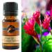 Gumleaf Fragrance Ginger Lily & Lemon Verbena Fragrant Oil - 0.34fl oz Cruelty Free & Vegan Phthalate-Free Fragrance