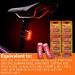 Buy E90 Alkaline Batteries 1.5V LR1 N Size - Pack of 10 | Long-lasting Power for All Devices - International Shipping Available - Buy Online on GoSupps.com