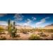 MIRRORANG 120x50cm Terrarium Background Blue Sky Desert Oasis Cactus Reptile Habitat Background Vinyl Background 120x50cm style 11
