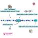 Kittyrama Botanical Cat Collars - Hypoallergenic Quick Release Veterinarian Approved - Award-Winning Comfort for Cats & Kittens - Buy Online on GoSupps.com