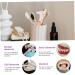 Frcolor 20-Piece Prostheses Toothbrush Set | Comfortable Oral Care Tools for False Teeth Cleaning - Buy Online on GoSupps.com