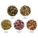 Tea Forte Petite Presentation Box - Assorted Tea Samplers with 10 Handcrafted Pyramid Infusers | Premium International Shipping - Buy Online on GoSupps.com