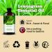 Lemongrass Essential Oil-Lemongrass Fragrance Oil 4.33oz (130ml)-100% Pure Natural Scent for Diffusers Candles Soap Making & Aromatherapy-Relaxing Home & Gift Essential Oil for Bath Massage - Buy Online on GoSupps.com
