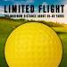 CHAMPKEY Practice Foam Golf Balls 16 Pack - Limited Flight Yellow Training Balls for Indoor & Outdoor Use - Buy Online on GoSupps.com
